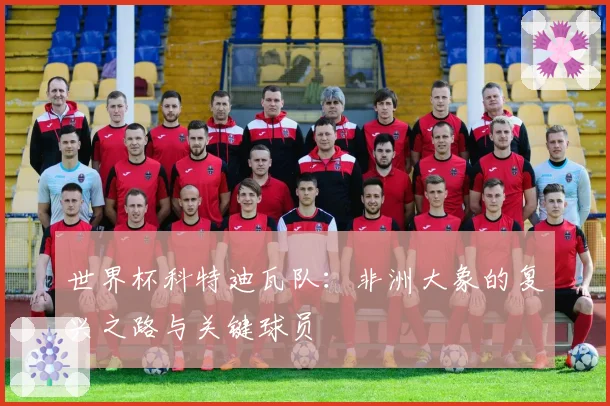 世界杯科特迪瓦队:非洲大象的复兴之路与关键球员