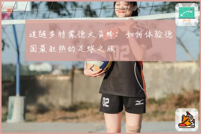 追随多特蒙德大黄蜂：如何体验德国最狂热的足球之旅