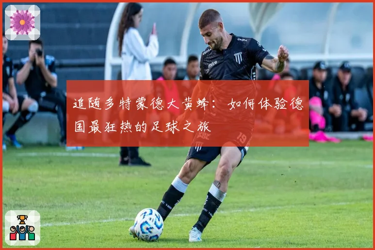 追随多特蒙德大黄蜂:如何体验德国最狂热的足球之旅