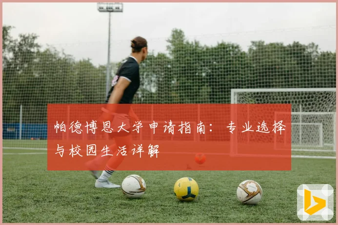 帕德博恩大学申请指南：专业选择与校园生活详解