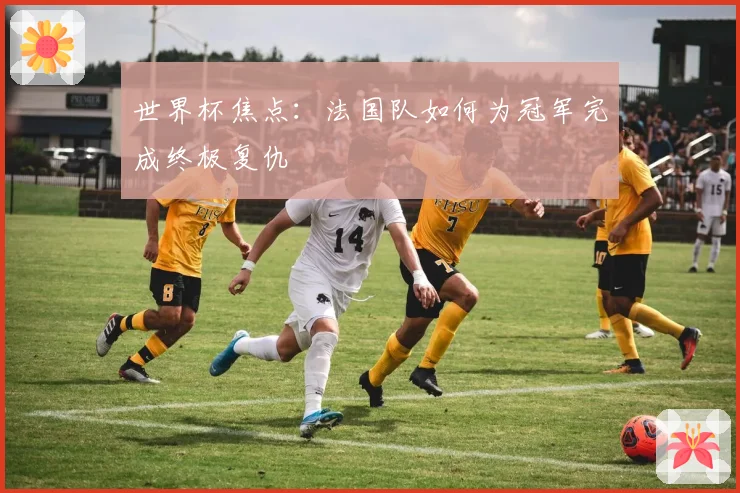 世界杯焦点：法国队如何为冠军完成终极复仇