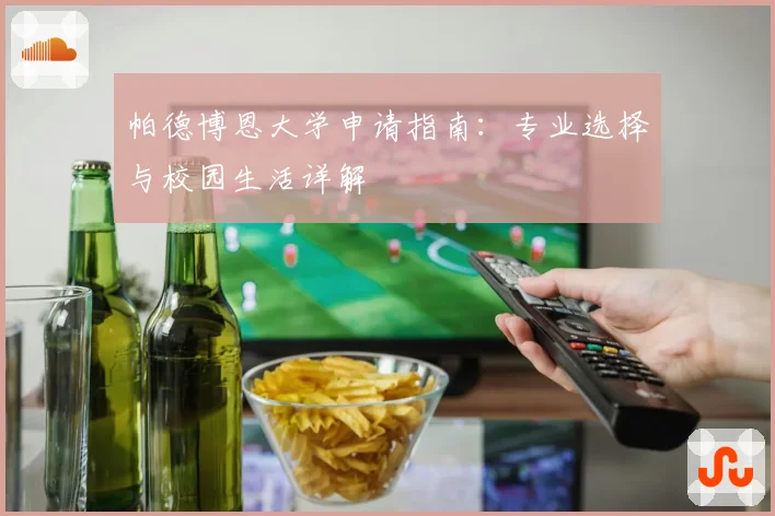 帕德博恩大学申请指南：专业选择与校园生活详解