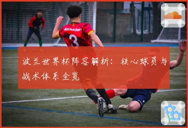 波兰世界杯阵容解析:核心球员与战术体系全览