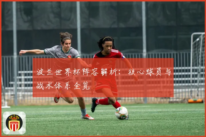 波兰世界杯阵容解析：核心球员与战术体系全览
